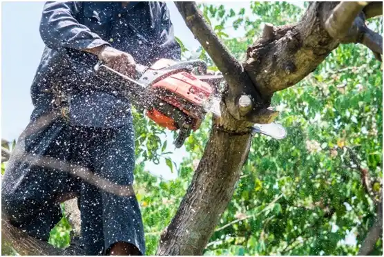 tree services Calera